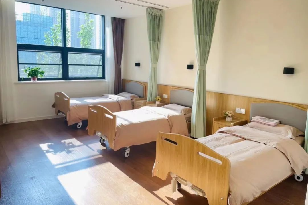 <b>春节特惠 | Kaiyun官方网站登录入口短期托养服务，让爱的守护不停歇</b>